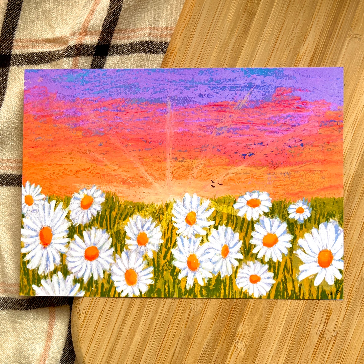Daisies | Art Print