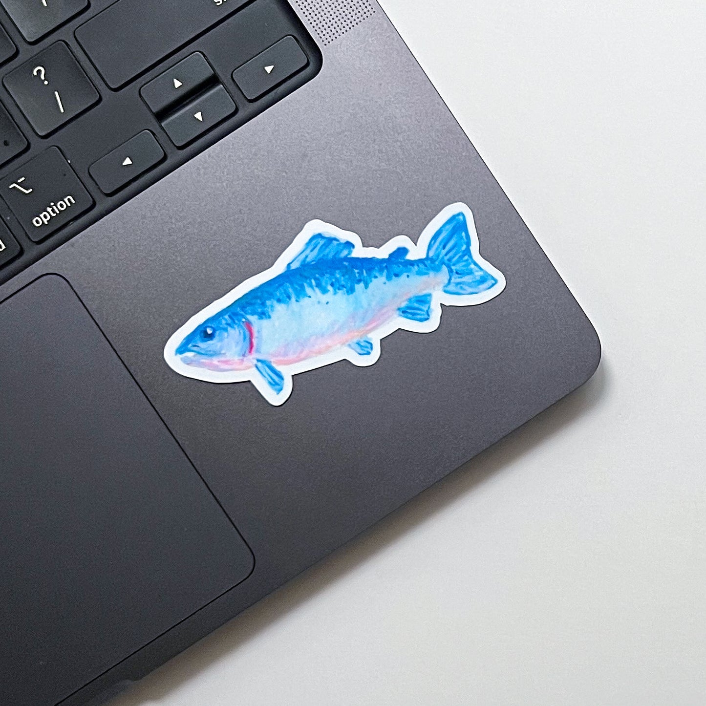 Atlantic Salmon | Matte Vinyl Sticker