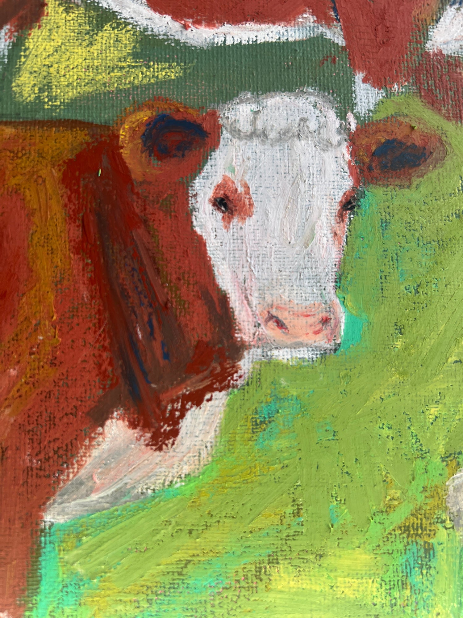 cow portrait