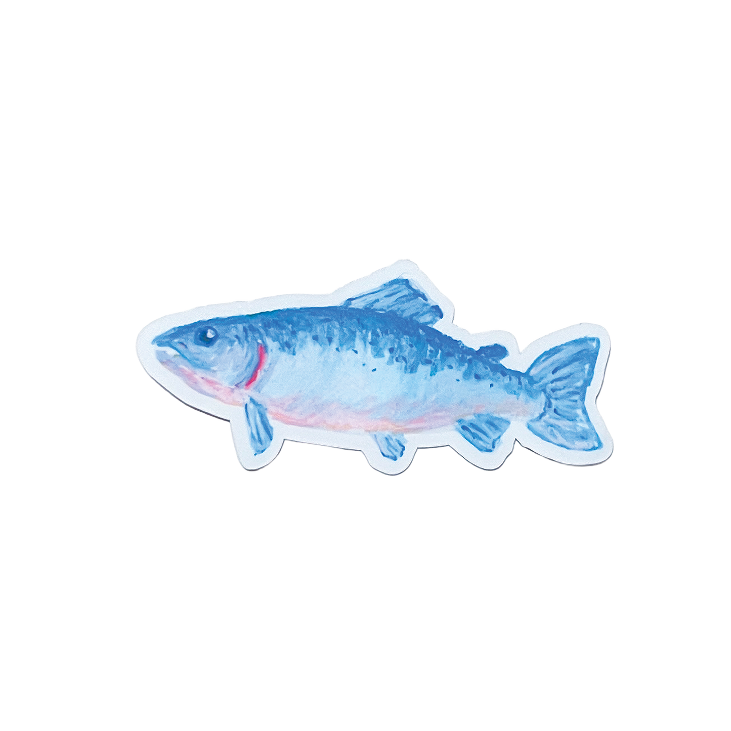 Atlantic Salmon | Matte Vinyl Sticker