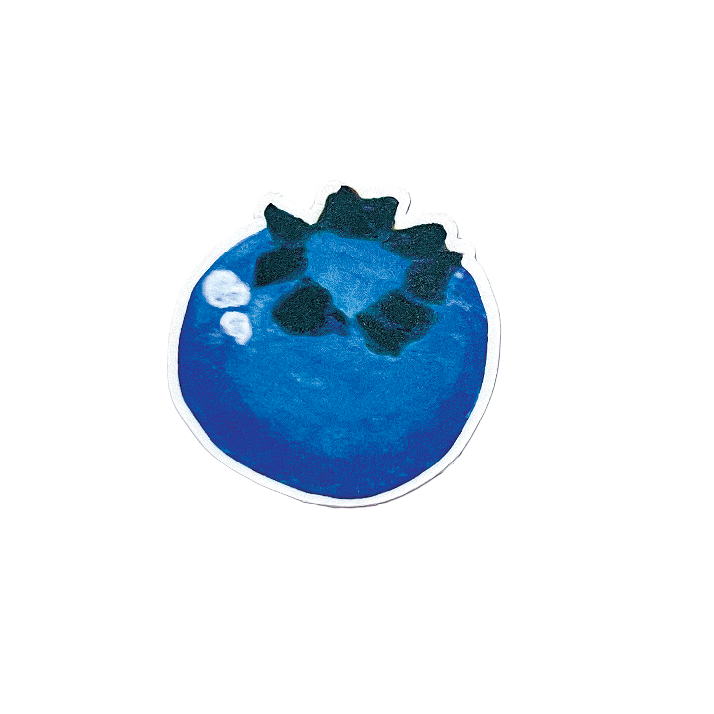 Blueberry sticker on a white background