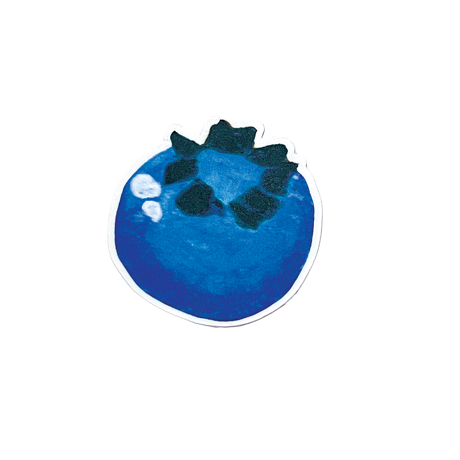 Blueberry sticker on a white background
