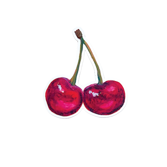 Two red cherries on a white background