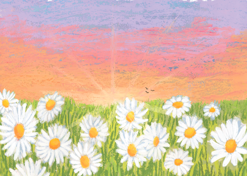 Illustration of white flowers with yellow centers on a grassy field with a colorful sky.