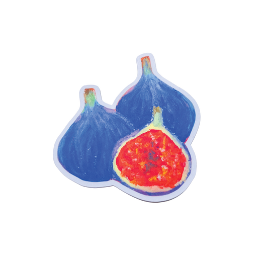 Colorful illustration of two figs on a white background