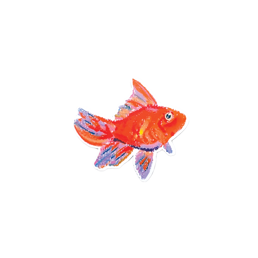 Colorful fish illustration on a white background