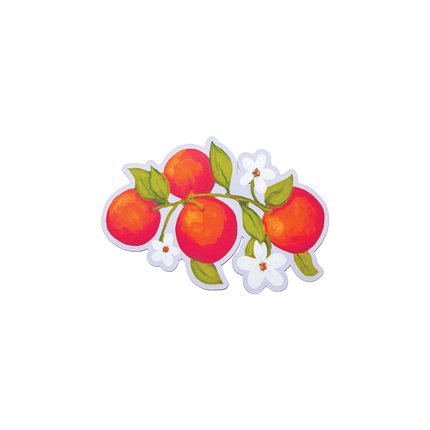 Sticker of three oranges with leaves and flowers on a white background