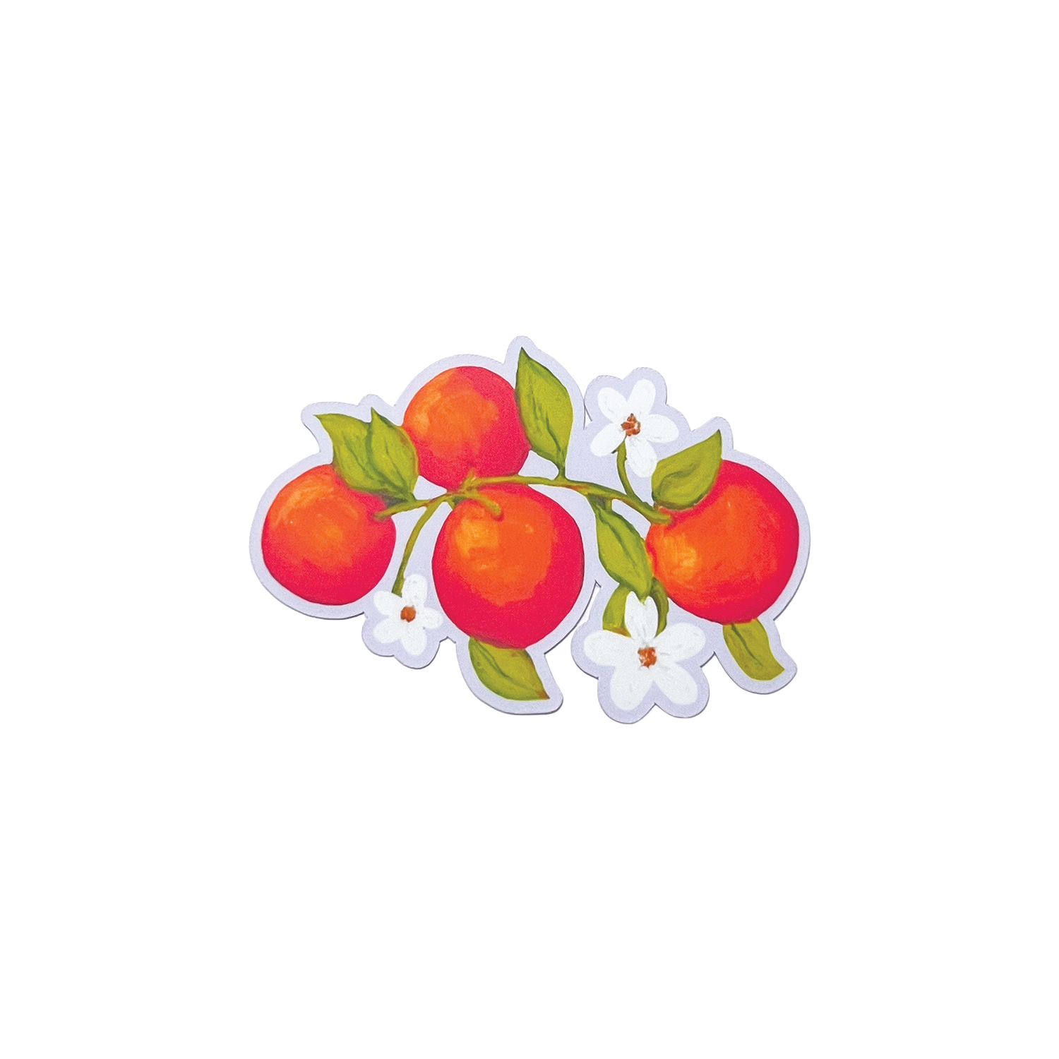Sticker of three oranges with leaves and flowers on a white background