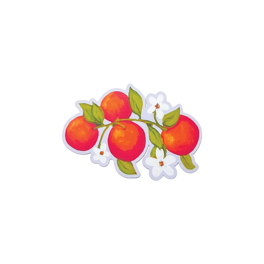Sticker of three oranges with leaves and flowers on a white background