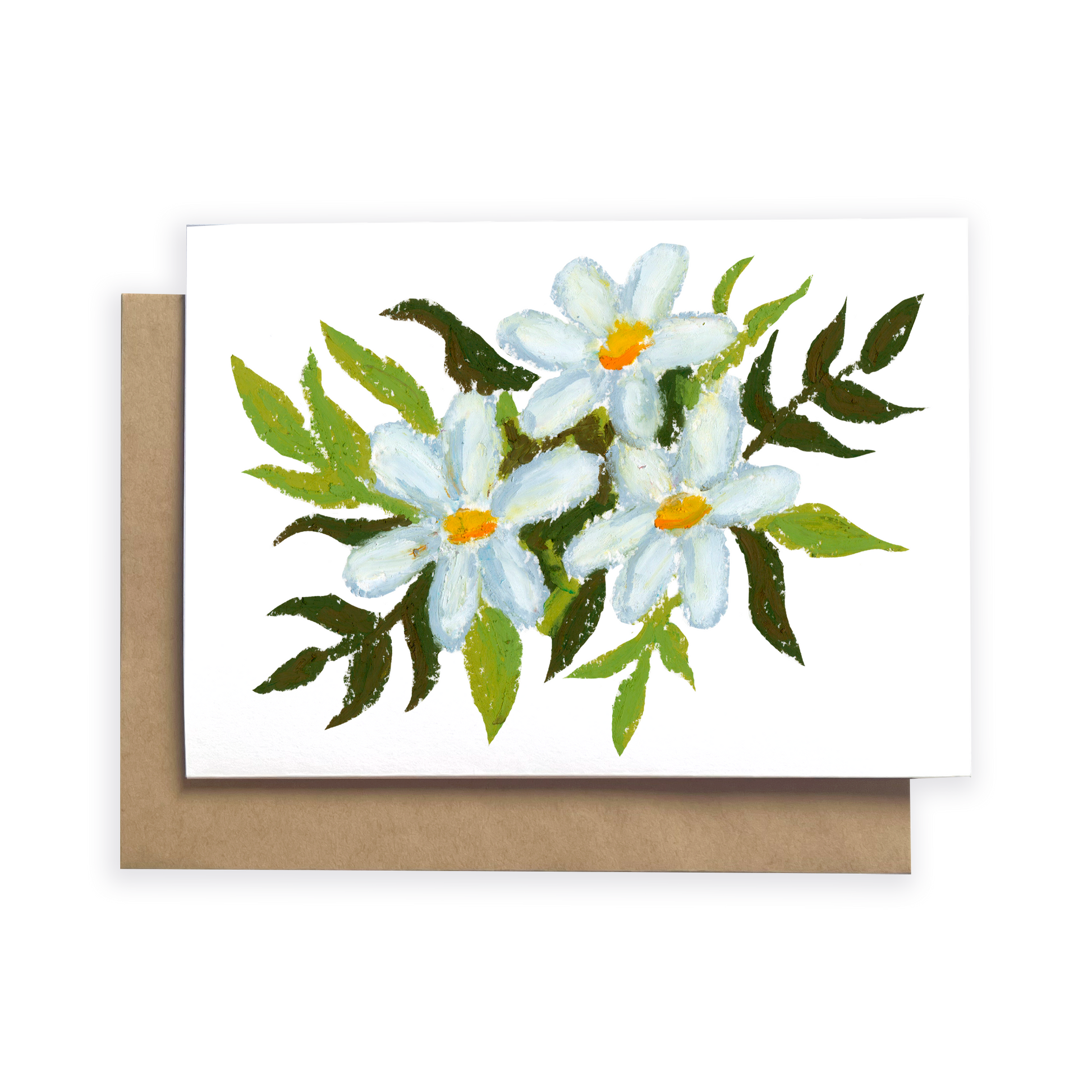 pastel daisies on white card