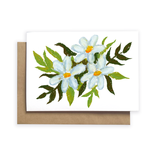 pastel daisies on white card