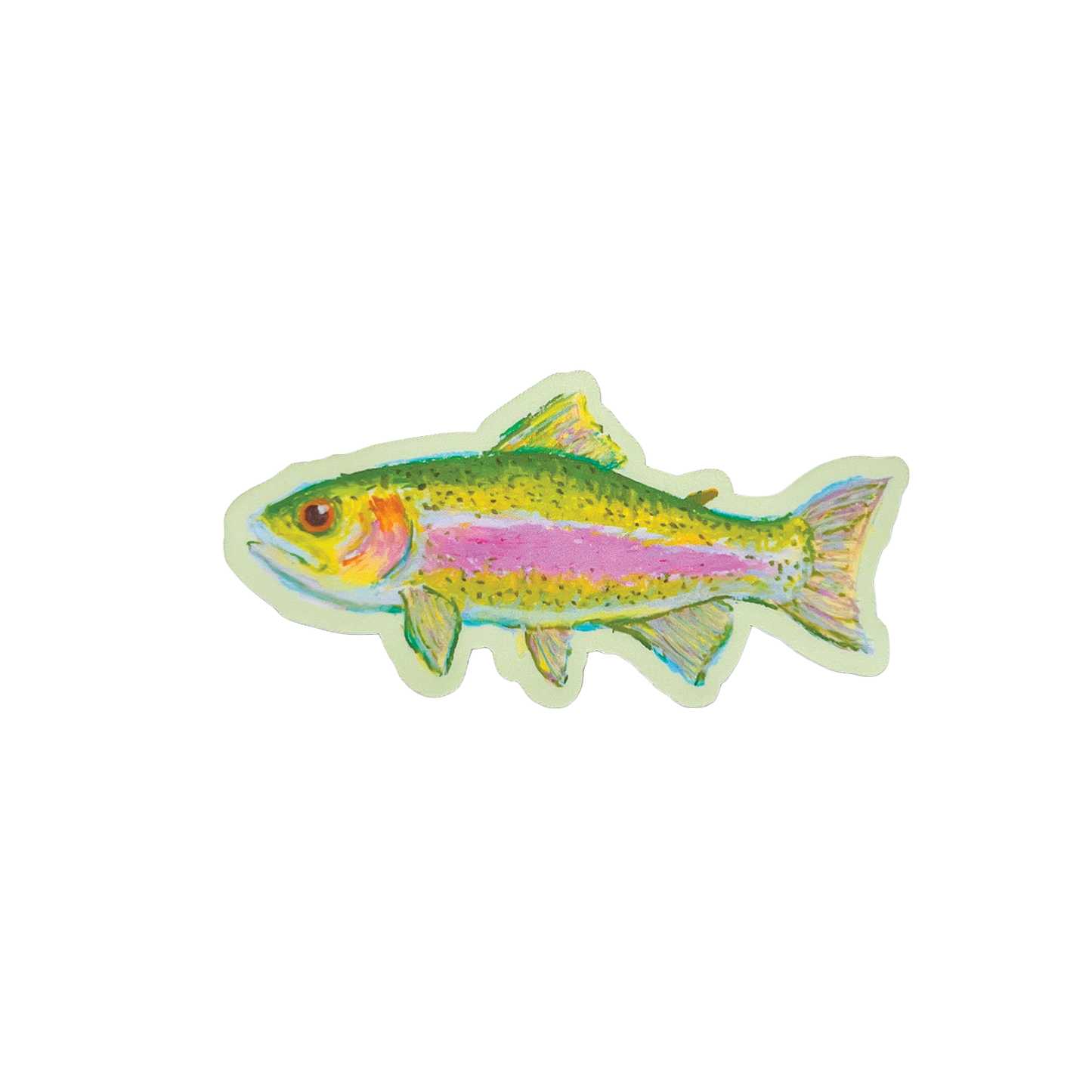 Colourful fish sticker on a white background