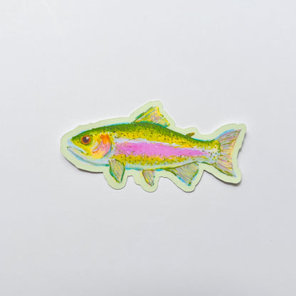 Colorful fish-shaped sticker on a light gray background