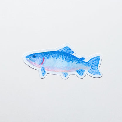 Atlantic Salmon | Matte Vinyl Sticker
