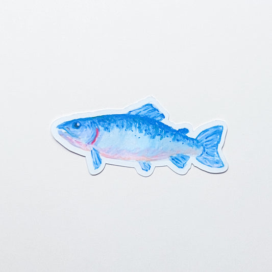 Atlantic Salmon | Matte Vinyl Sticker