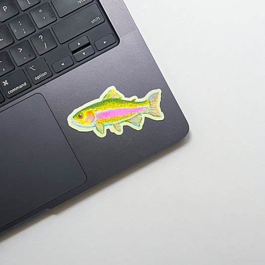 Fish-shaped sticker on a laptop keyboard